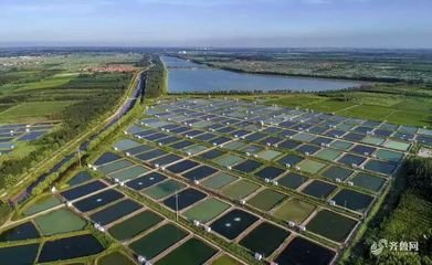 殼寡糖與農業和生態養殖